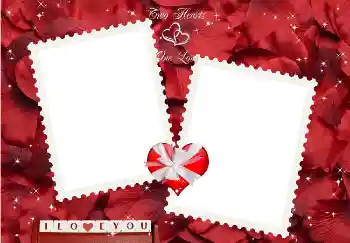 프레임에 비문: I love you! 프레임에 비문: I love you!