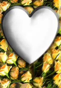 범주에서의 사진 효과 연인용 프레임 № 32804 범주에서의 사진 효과 연인용 프레임 № 32804