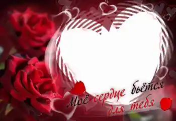 프레임에 비문: Моё сердце бьётся для тебя 프레임에 비문: Моё сердце бьётся для тебя