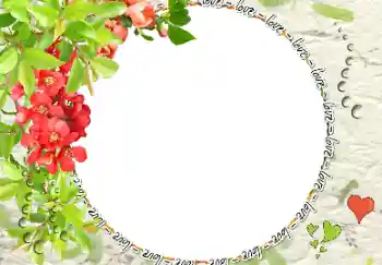 프레임에 비문: love 프레임에 비문: love