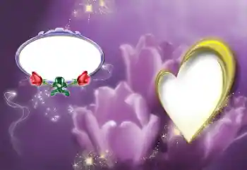 범주에서의 사진 효과 연인용 프레임 № 39213 범주에서의 사진 효과 연인용 프레임 № 39213