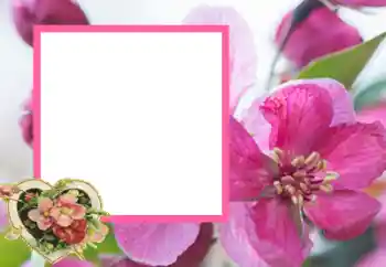 범주에서의 사진 효과 연인용 프레임 № 43593 범주에서의 사진 효과 연인용 프레임 № 43593