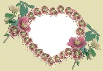 범주에서의 사진 효과 연인용 프레임 № 49524 범주에서의 사진 효과 연인용 프레임 № 49524