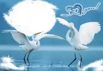 프레임에 비문: I love you!