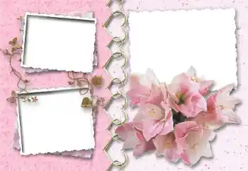 범주에서의 사진 효과 연인용 프레임 № 64046