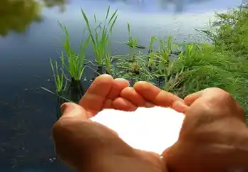 범주에서의 사진 효과 연인용 프레임 № 67019