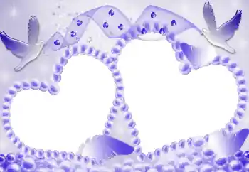 범주에서의 사진 효과 연인용 프레임 № 67082