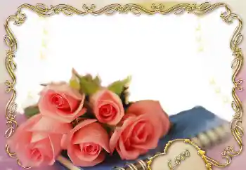 범주에서의 사진 효과 연인용 프레임 № 78914