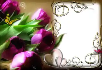 범주에서의 사진 효과 연인용 프레임 № 78969