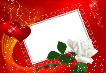 범주에서의 사진 효과 연인용 프레임 № 80131