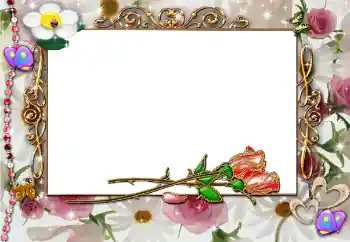 범주에서의 사진 효과 연인용 프레임 № 80315