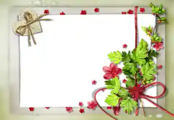 범주에서의 사진 효과 연인용 프레임 № 87721