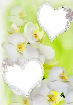 범주에서의 사진 효과 연인용 프레임 № 91900 범주에서의 사진 효과 연인용 프레임 № 91900