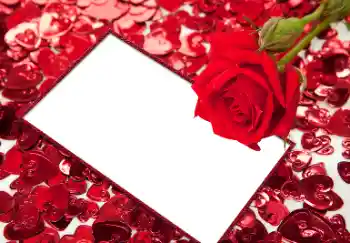 범주에서의 사진 효과 연인용 프레임 № 96066 범주에서의 사진 효과 연인용 프레임 № 96066