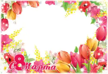 프레임에 비문: 여성날을 축하합니다 프레임에 비문: 여성날을 축하합니다