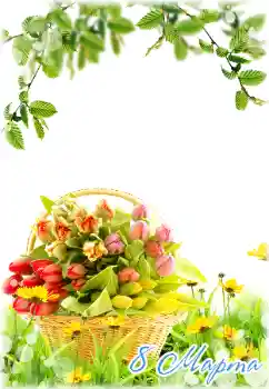 프레임에 비문: 3월 8일