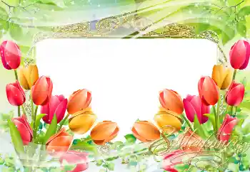 범주에서의 사진 효과 3 월 8 일 (여성날) 카드 № 38595. 프레임에 비문: 3월 8일 범주에서의 사진 효과 3 월 8 일 (여성날) 카드 № 38595. 프레임에 비문: 3월 8일