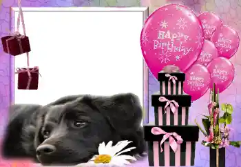 범주에서의 사진 효과 생일 카드 № 116033. 프레임에 비문: 생일 축하해!
