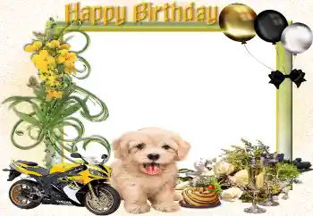 범주에서의 사진 효과 생일 카드 № 161943. 프레임에 비문: 생일 축하합니다!