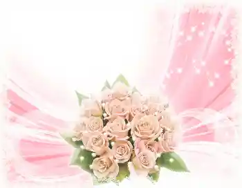범주에서의 사진 효과 생일 카드 № 2802. 프레임에 비문: 생일 축하합니다!