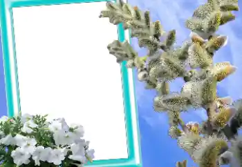 범주에서의 사진 효과 부활절 카드 № 131205