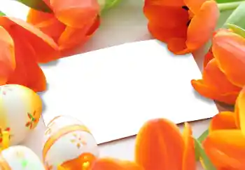 범주에서의 사진 효과 부활절 카드 № 93170