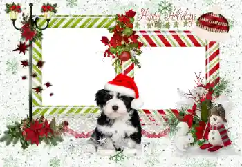 범주에서의 사진 효과 다른 휴일 № 163336. 프레임에 비문: Happy Holidays