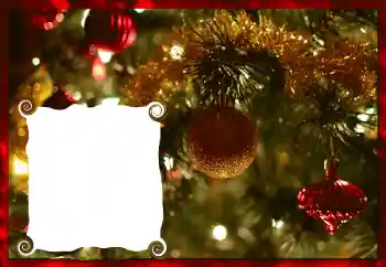 범주에서의 사진 효과 크리스마스 카드 № 87892