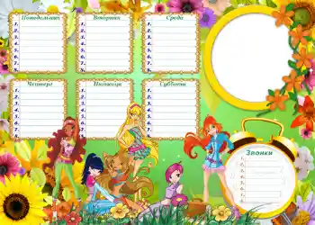 범주에서의 사진 효과 과목 시간표 № 1250