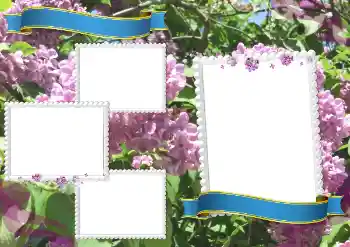 범주에서의 사진 효과 다른 학교 № 205334 범주에서의 사진 효과 다른 학교 № 205334