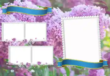 범주에서의 사진 효과 다른 학교 № 205350 범주에서의 사진 효과 다른 학교 № 205350