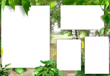 범주에서의 사진 효과 여름 № 141163 범주에서의 사진 효과 여름 № 141163