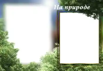범주에서의 사진 효과 여름 № 182141. 프레임에 비문: 자연 속에서