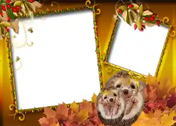 범주에서의 사진 효과 가을 № 1006 범주에서의 사진 효과 가을 № 1006