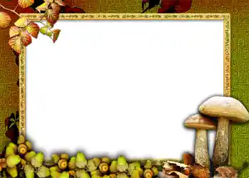 범주에서의 사진 효과 가을 № 1011 범주에서의 사진 효과 가을 № 1011