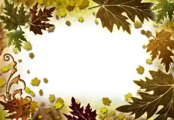 범주에서의 사진 효과 가을 № 101278 범주에서의 사진 효과 가을 № 101278