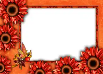 범주에서의 사진 효과 가을 № 1012 범주에서의 사진 효과 가을 № 1012