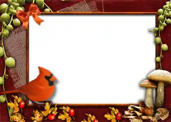 범주에서의 사진 효과 가을 № 1013 범주에서의 사진 효과 가을 № 1013