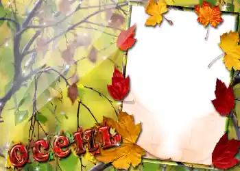 범주에서의 사진 효과 가을 № 1016 범주에서의 사진 효과 가을 № 1016