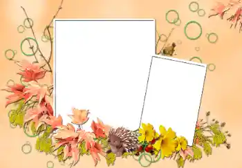 범주에서의 사진 효과 가을 № 103852 범주에서의 사진 효과 가을 № 103852