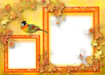 범주에서의 사진 효과 가을 № 1124 범주에서의 사진 효과 가을 № 1124