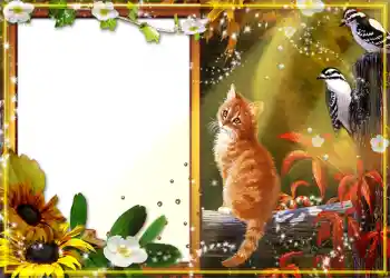 범주에서의 사진 효과 가을 № 1130 범주에서의 사진 효과 가을 № 1130