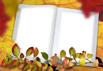 범주에서의 사진 효과 가을 № 114578 범주에서의 사진 효과 가을 № 114578