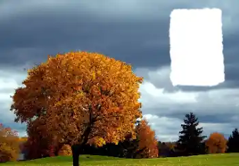 범주에서의 사진 효과 가을 № 125889 범주에서의 사진 효과 가을 № 125889