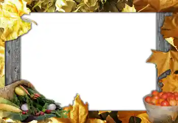 범주에서의 사진 효과 가을 № 127051 범주에서의 사진 효과 가을 № 127051