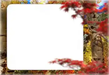 범주에서의 사진 효과 가을 № 127331 범주에서의 사진 효과 가을 № 127331