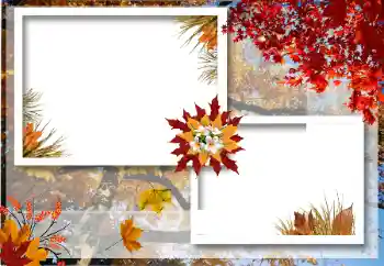 범주에서의 사진 효과 가을 № 12922 범주에서의 사진 효과 가을 № 12922