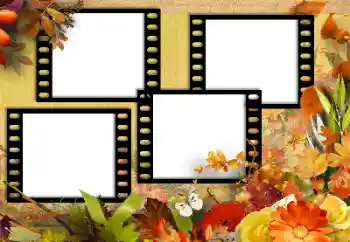 범주에서의 사진 효과 가을 № 131752