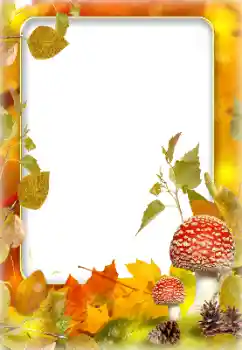 범주에서의 사진 효과 가을 № 142243