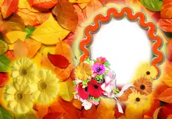 범주에서의 사진 효과 가을 № 142255